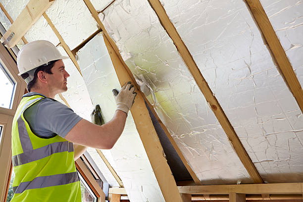 Best Insulation Installation Services in Fremont, MI